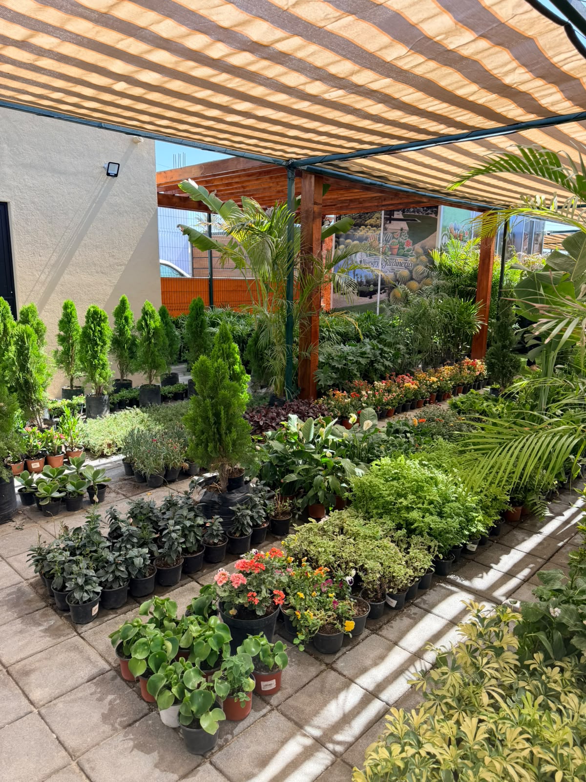 Vivero de Selección Botánica