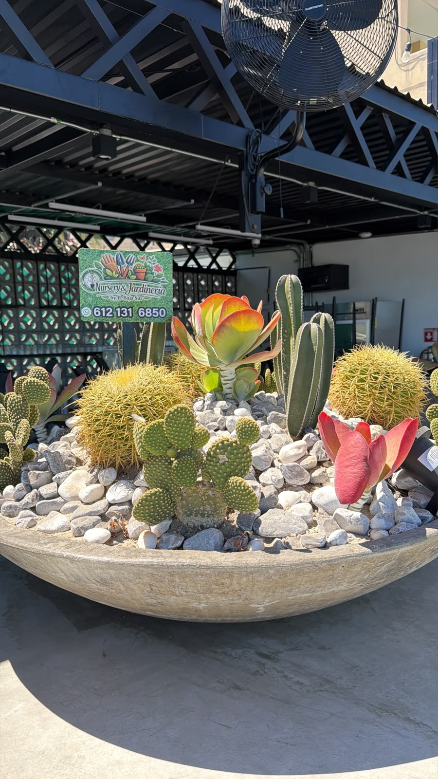 Jardineras Desérticas con Piedra Blanca