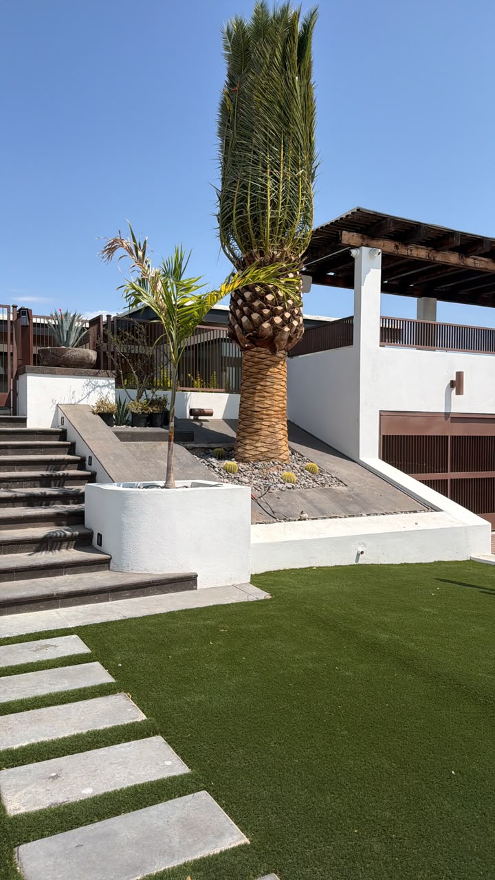 Acceso Escalonado Moderno con Palmera