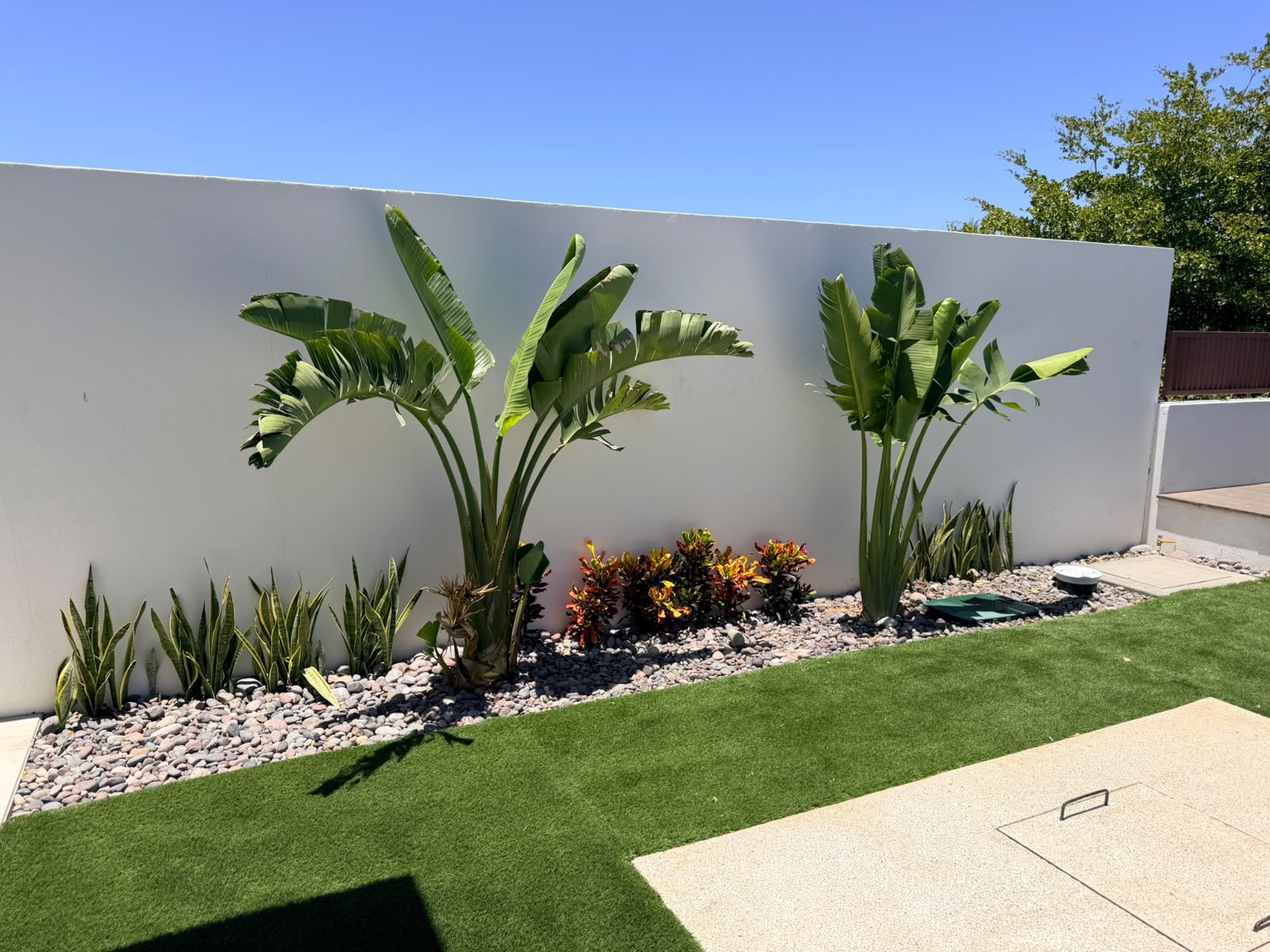 Jardín Perimetral con Plantas Ornamentales