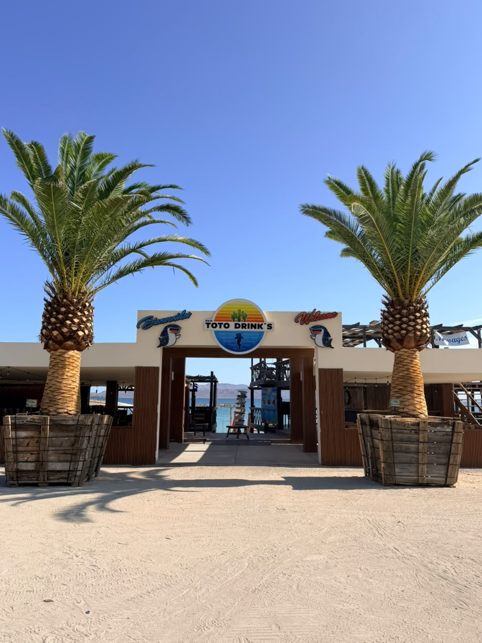 Acceso Comercial con Palmeras Monumentales