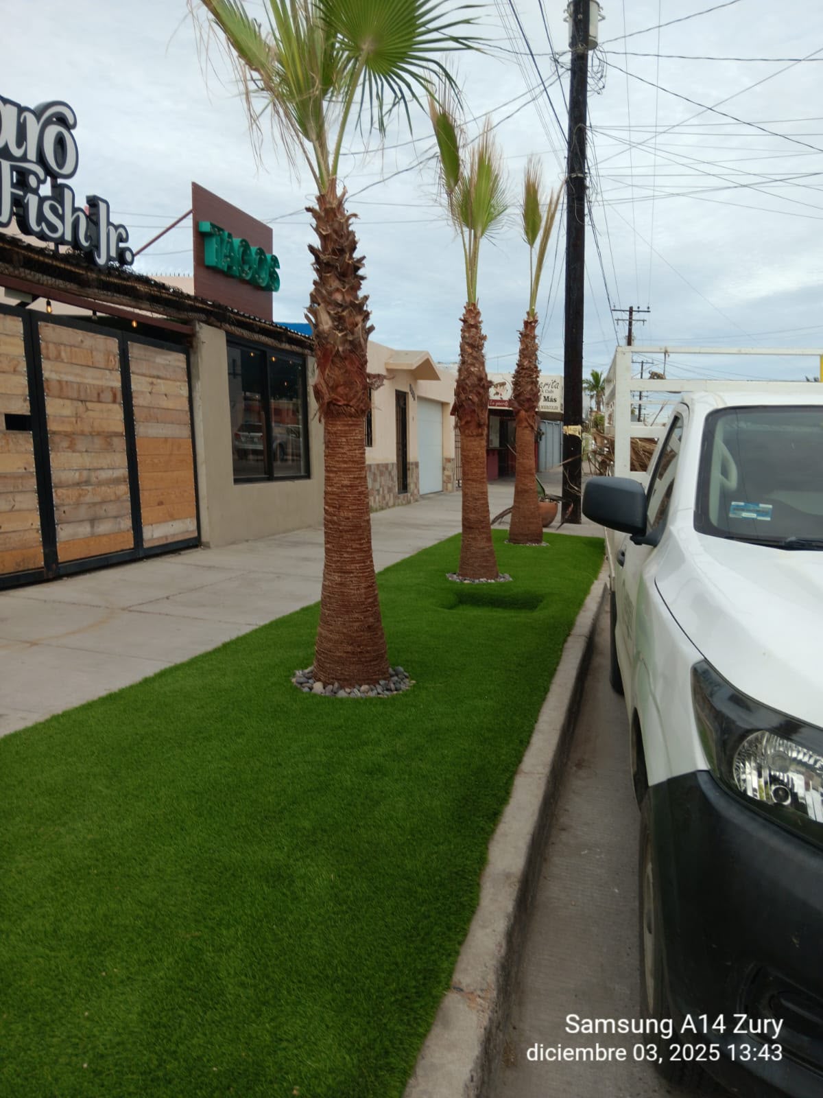 Paisajismo Urbano en Acera Comercial